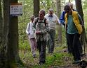 DAV Maiwanderung 2014 (10)